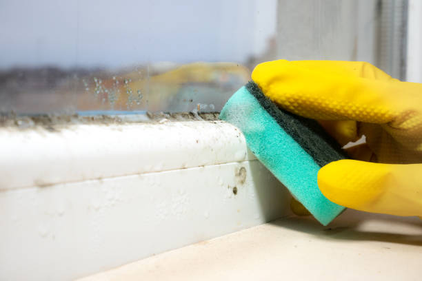 Best Mold Remediation for Healthcare Facilities  in Boronda, CA